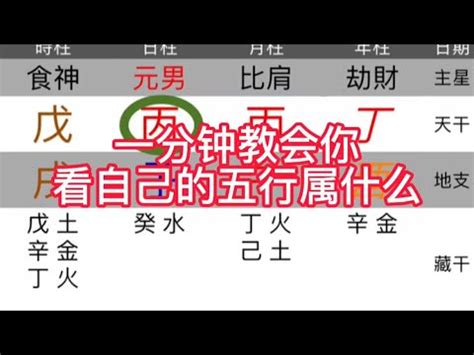 屬火|免費生辰八字五行屬性查詢、算命、分析命盤喜用神、喜忌